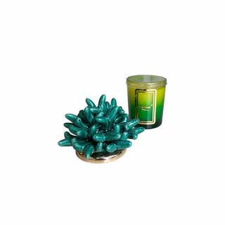 Vela Melaverde Bicolor 100g Anémona Verde Alt. 13 cm