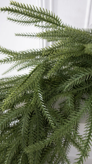 Girlande aus Kiefernholz Patrick total PE von Salvatore Izzo 270 cm