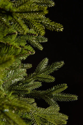 EDG Enzo de Gasperi Offerta Albero di Natale Pino Cristallo 210 cm Natural + Base Tronco + 500 Miniled + Borsa