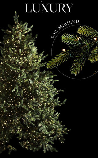 EDG Enzo de Gasperi Luxus-Weihnachtsbaum aus Kiefer, 180 cm, mit 3000 Mini-LEDs, D136