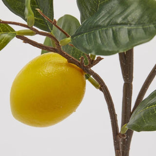 EDG Enzo De Gasperi Ramo di Limone con Foglie H95 cm