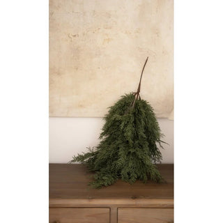 Bündel von Martin-Zypressenzweigen, 90 cm Gesamtlänge, PE von Salvatore Izzo