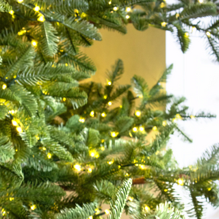 Albero di Natale Rockefeller di Salvatore Izzo H210 cm Ultra Realistico total PE con 3500 microled