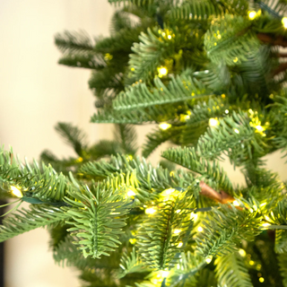 Albero di Natale Rockefeller di Salvatore Izzo H210 cm Ultra Realistico total PE con 3500 microled