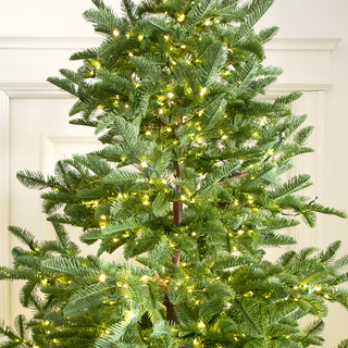 Albero di Natale Rockefeller di Salvatore Izzo H210 cm Ultra Realistico total PE con 3500 microled