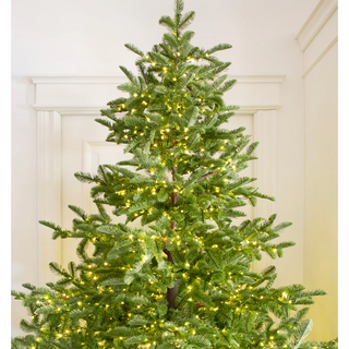 Albero di Natale Rockefeller di Salvatore Izzo H210 cm Ultra Realistico total PE con 3500 microled