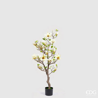 EDG Enzo De Gasperi Pianta Artificiale di Magnolia con Foglie H130 cm