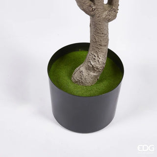 EDG Enzo De Gasperi Pianta Artificiale di Magnolia con Foglie H130 cm