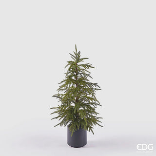 EDG Enzo De Gasperi Pino Cryptomeria in Vaso H90 cm Real Touch