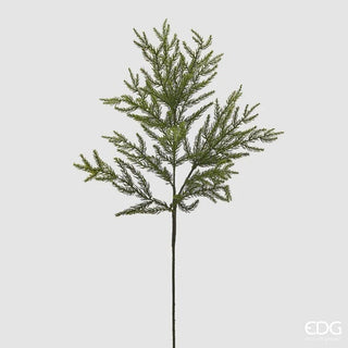 EDG Enzo De Gasperi Ramo di Cryptomeria H84 cm
