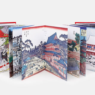 Ippocampo Edizione Libro Templi e Santuari