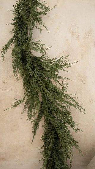 Barneys Total PE Cypress Festoon Vine von Salvatore Izzo, 150 cm