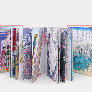 Ippocampo Edizioni Libro I Ciliegi in Fiore