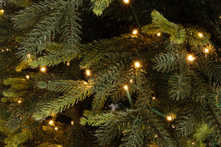 Andrea Bizzotto Albero di Natale Pino Berkshire 7456 Rami 2500 Led H240 cm