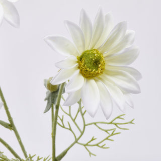 EDG Enzo De Gasperi Artificial Daisy Branch x3 Flowers H65 cm White