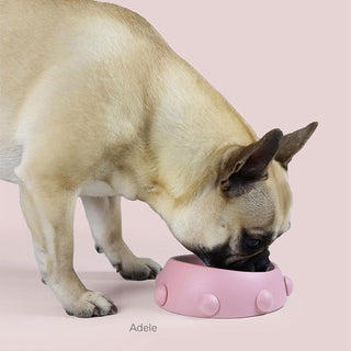 United Pets Boss Nano Dog Bowl 160ml Aquamarine