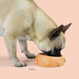 United Pets Boss Nano Dog Bowl 160ml Orange