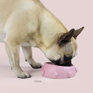 United Pets Boss Nano Dog Bowl 160ml Pink