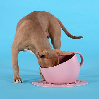 United Pets Large Cup Dog Bowl 2500 ml Pink