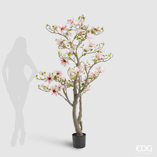 EDG Enzo De Gasperi Pianta Artificiale di Magnolia con Foglie H180 cm