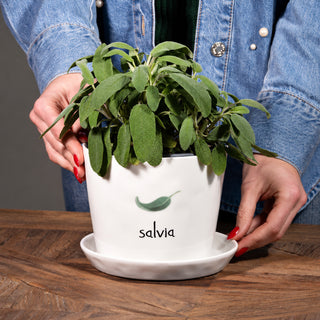Simple Day Vaso Salvia con Sottovaso in Gres