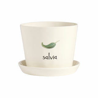 Simple Day Vaso Salvia con Sottovaso in Gres