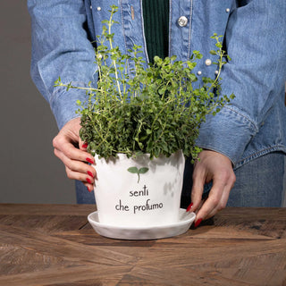 Simple Day Vaso Senti Che Profumo in Gres