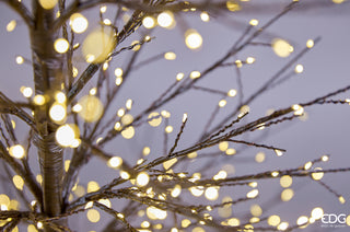 EDG Enzo De Gasperi Rich Beech LED Tree 4060 microled H240 Schwarz