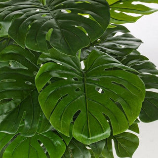 Andrea Bizzotto Philodendron plant with 23 leaves vase H120 cm