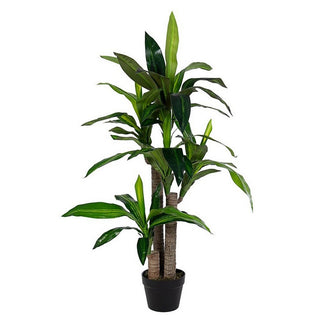 Andrea Bizzotto Dracaena Plant with 65 Leaves Vase H110 cm