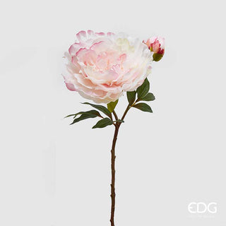 EDG Enzo De Gasperi Ramo di Peonia Real con Bocciolo rosa chiaro h54 cm