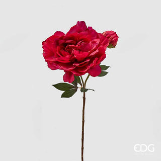 EDG Enzo De Gasperi Rama de peonía real con flor fucsia oscuro h54 cm