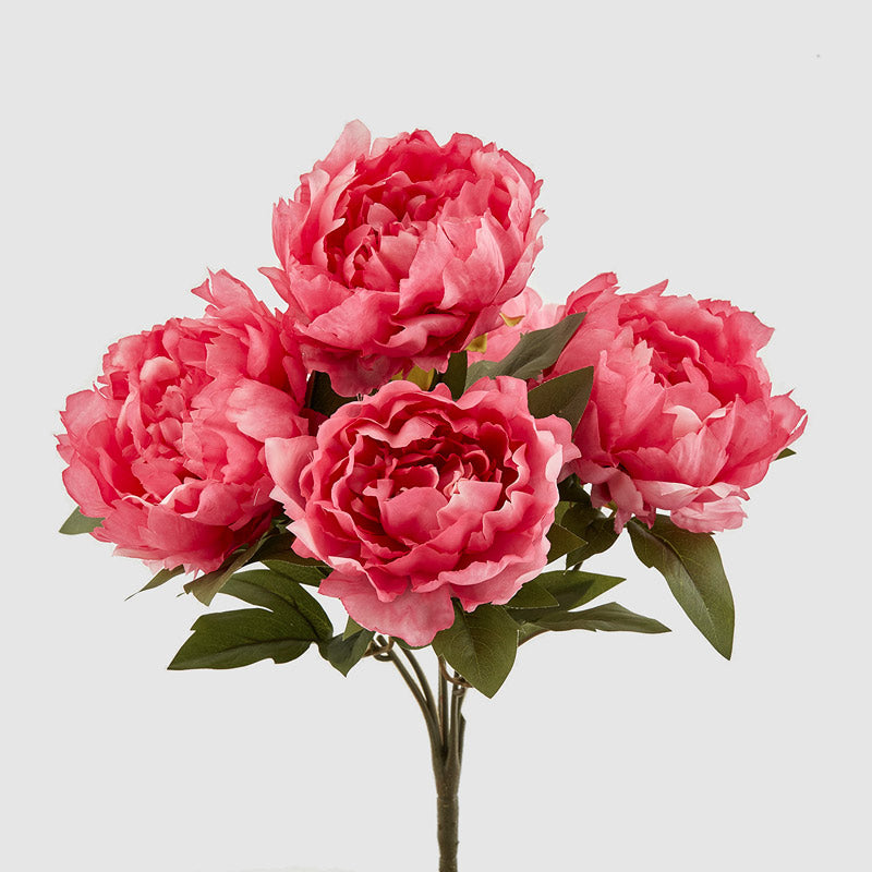 EDG Enzo De Gasperi Bouquet 5 Peonie Fucsia 48 cm – Le Gioie