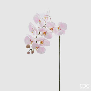 EDG Enzo De Gasperi rama de orquídea Phalaenopsis rosa real h93 cm