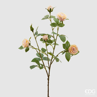 EDG Enzo De Gasperi Rama de Rosa Duke 5 Flores H68 cm
