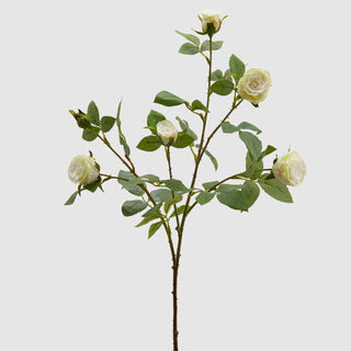EDG Enzo De Gasperi Branch of Rose Duke 5 Flowers H68 cm