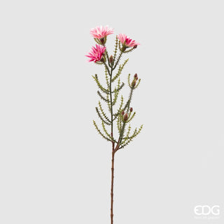 EDG Enzo De Gasperi Branch of Kaaps x3 Pink Flowers H60 cm