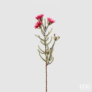 EDG Enzo De Gasperi Branch of Kaaps x3 Dark Pink Flowers H60 cm
