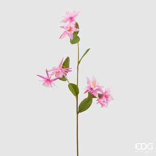 EDG Enzo De Gasperi Aquilegia rama 6 flores rosas H85 cm