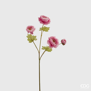 EDG Enzo De Gasperi Rama Ranunculus Colores Surtidos h65 cm