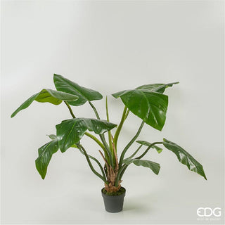 EDG Enzo De Gasperi Philodendron Chic plant with vase h 138 cm