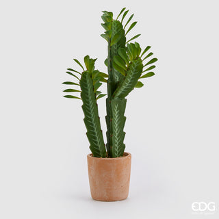 EDG Enzo De Gasperi Cactus Mix con Vaso H60 cm