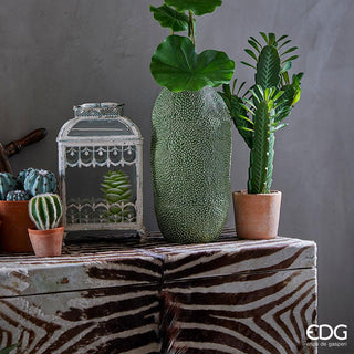 EDG Enzo De Gasperi Cactus Mix with Vase H60 cm