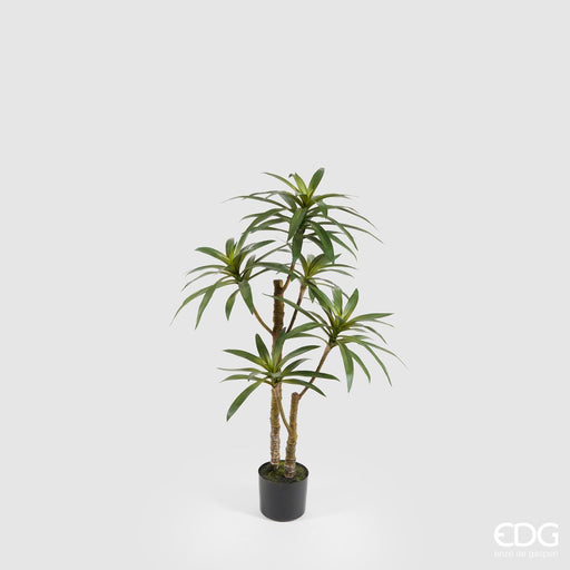 EDG Enzo De Gasperi Pianta Artificiale Dracena West con Vaso H100 cm — Le  Gioie