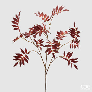 EDG Enzo De Gasperi Branch of Elderberry Glory Dark Red H100 cm