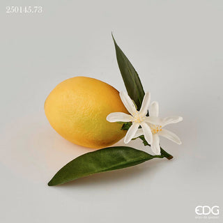 EDG Enzo De Gasperi Duke Lemon With Leaves and Flowers 12 cm