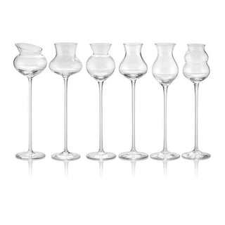 IVV I Distillati Set of 6 Assorted Transparent Goblets