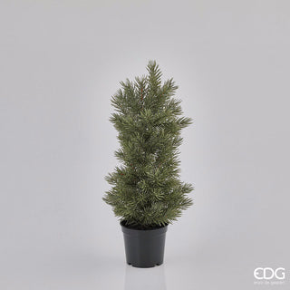 EDG Enzo De Gasperi Pine tree with vase 93 Branches H40 cm