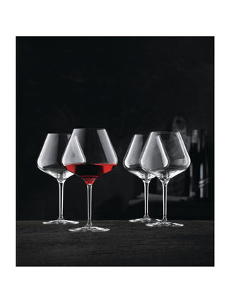 Nachtmann Set 4 Red Wine Glasses Balloon Tasting Vinova 84cl