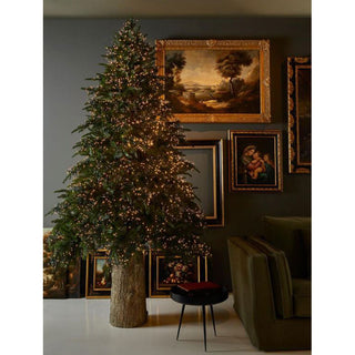 EDG Enzo de Gasperi Árbol de Navidad de pino de lujo 180 cm con 3000 mini leds D136